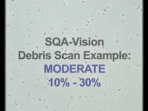 SQA VISION DEBRIS SCANNING EXAMPLES