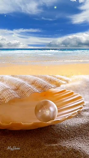 Discover the Beauty of Seashells on a Serene Beach