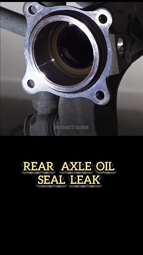Axle oil seal leak oil leak Toyota rear axle oil seal leak #axleoil #oilleak #car #toyota #mechanic