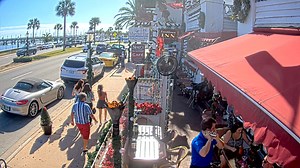 Here are the top 25 most interesting public webcams of 2021