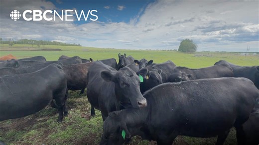 Agricultural disasters declared in northwestern Alberta