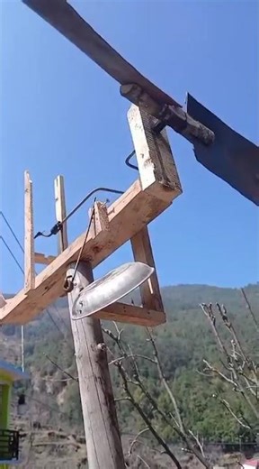 tricks to repel birds in the rice fields#shorts