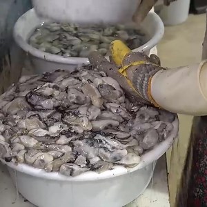 3.2K views · 84 reactions | Amazing Oyster Mass Production Process. Huge Scale Korea Oyster Farming #factory #knowhow #makingprocess #skill #technique #plant #works #planting #documentary #Oysters #Seafood #MassProduction #Produces #FoodFactory #koreanstreetfood #streetfood #koreafood #kfood #yummy | Food Processing | Facebook