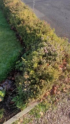 one does not just sell stickers.. any custom will really help the journey my brothers and sisters that all claim to be ranks,, miss, Mr's and Mrs.. Phillip HARTLEY (it's just the name i use for commerce) the account is owned by a corp named HSBC account number 10766720 sort code 40-11-93 #schizotypalpersonalitydisorder #lovecampaignerjourney #lovecampaignerawareness #pharmafree #lovecampaignerservices #lovecampaignerleafleting #lovecampaignerstickers #lovecampaigner #lovecampaignerpromotions | P