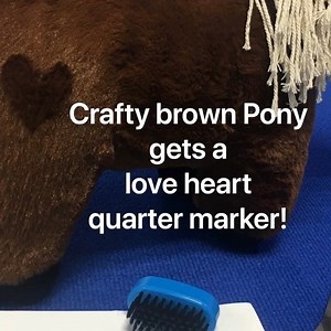 1.3K views · 46 reactions | Crafty brown Pony gets a love heart quarter marker, fun and smart! @beta_equestrian | Crafty Ponies | Facebook