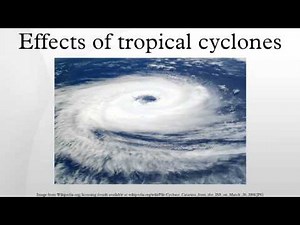 Effects of tropical cyclones