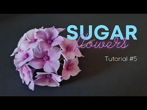 📍 Gumpaste Hydrangea Flower from sugar paste for cake decoration. Tutorial.