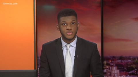 Georgia's wood ducks thrive as nesting box efforts soar. Here's how they work