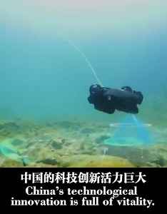 18 reactions | A small pond or a vast ocean, which one would you choose? | Chinese Embassy in South Africa | Facebook