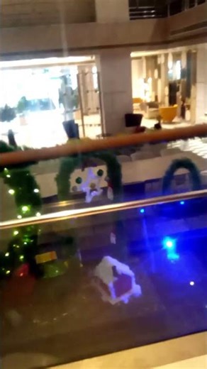 Guest Elevator Ride | Hotel Guest Lift Experience | Smooth & Silent Elevator#GuestElevator