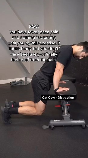 [P]rehab®️ on Instagram: "TOP OF 2022 COUNTDOWN #2 - Go-To Exercise for Back Pain 🏋️‍♀️ Arash here, I have been lifting weights for over 15 years, within the last 7 years I have been dealing with intermittent back discomfort, especially when I perform deadlifts and squats with heavy loads or on large volume days. This variation of the cat-cow is something I have made up over the years of trying to ease my lower back. I did NOT give enough credit to this exercise here. With all the compressive l