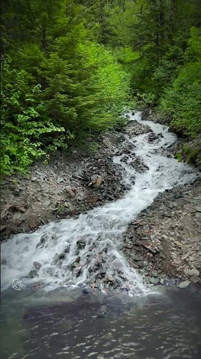 Rushing Water Sounds in Juneau | Relax to Calm Creek Ambience