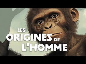 The origins of man (and life on Earth), explained.