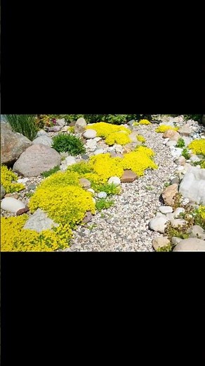 Gravier jardin sans entretien : Comment aménager un jardin minéral sans pelouse