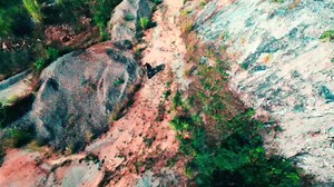 Amazon.com: Offroad Electric Scooter - 10000W Fastest Dual Motor 55 MPH & High-Performance, 13" Off Road Tires,75-Mile Long Range, 4-Piston Brakes 60V 40Ah Power Battery, UL2272 Certified : Sports & Outdoors