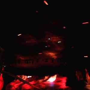 23 reactions | Now here's a meteor shower to live through and tell! How many meteors can you count? | T-Rex Cafe | Facebook