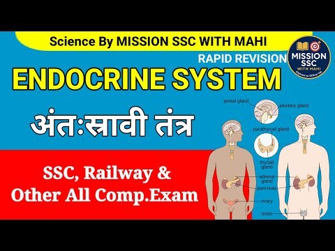 Endocrine System Rapid Revision | Science SSC Exams