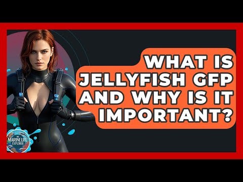 What Is Jellyfish GFP And Why Is It Important? - The Marine Life Explorer