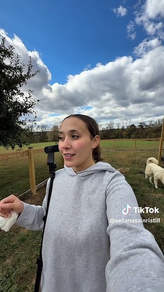 Enjoying a Cozy Homestead Morning Experience