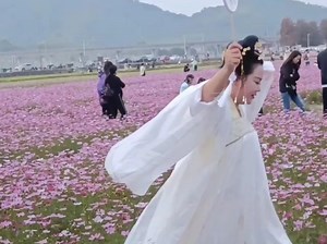 【杨洋体重管理】最新视频上线，求关注！