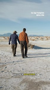 8.1K views · 13K reactions | Ancient human footprints weren’t the only tracks found in this remote area… 殮 #ancientdiscoveries #earlyhumans #sloth | NOVA l PBS | Facebook