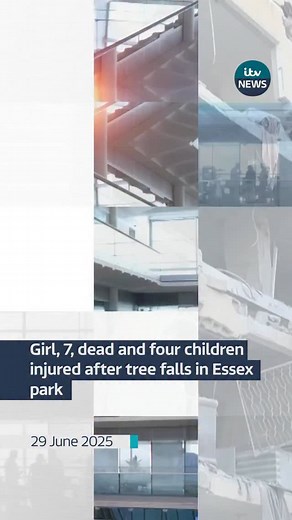 Air ambulances, fire crews and police rushed to Chalkwell Park on Saturday afternoon after reports of a collapsed tree just before 3pm #news #essex | ITV News