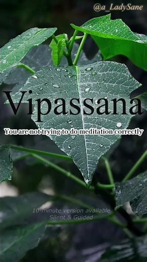 Why Simple Instructions Matter | Vipassana, Clearly