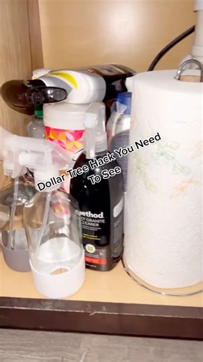 111K views · 547 reactions | Dollar Tree Hack —space saving and super easy! #dollartree #hacks #dollartreediy #homehacks #diy | A Life Better Organized | Facebook