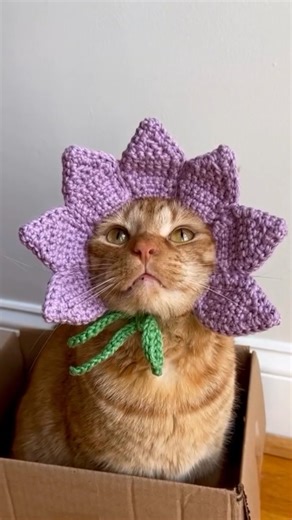 How cute 🧡 Does anyone know what this type of flower is called? 💜😸 Shop HatsonCatsCrochet at etsy.com | Etsy