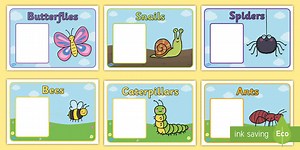 Editable Class Group Names (Minibeasts)