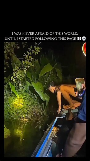 unseenwildlife on Instagram: "The green anaconda (Eunectes murinus) is widely recognized as the heaviest and one of the longest snake species in the world, native to the swamps, marshes, and slow-moving rivers of South America's Amazon and Orinoco basins. While the reticulated python may occasionally exceed it in length, the anaconda’s massive girth makes it significantly more substantial, with large females reaching weights of over 250kg (550 lbs) and lengths of up to 9 meters (30 feet). Their 