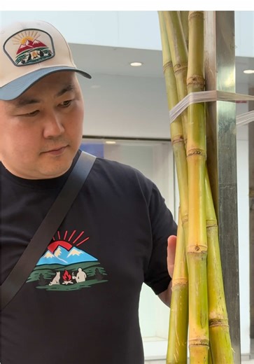 Сладкий бамбуковый сок: вкус Китая