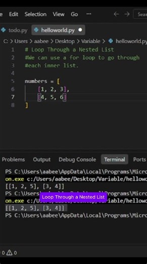 Nested List Iteration – Access Every Element in a List of Lists! Beginner's Guide!