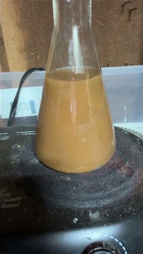 precipitating 24k gold #gold