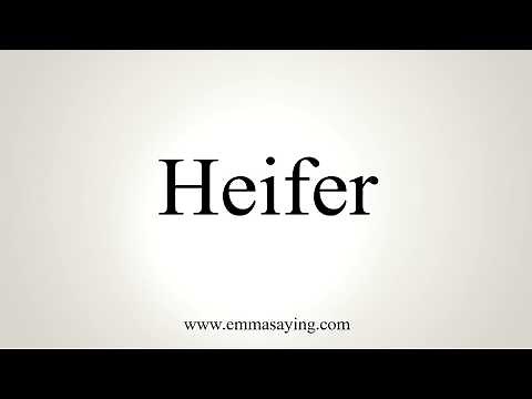 How To Pronounce Heifer
