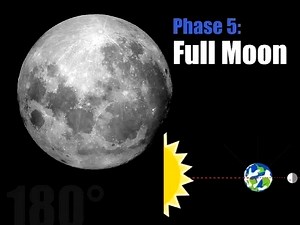Fun Phases of the Moon Study Guide for 4th Grade | Newton News,Reviews, Upcoming Events And Special Offers
