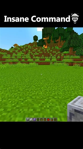 insane command in Minecraft #minecraft #minecraftmemes #mine #fyp #viral