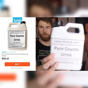 603K views · 19K reactions | I Bought The STRANGEST Wish Items!  | Brandon Farris | Facebook
