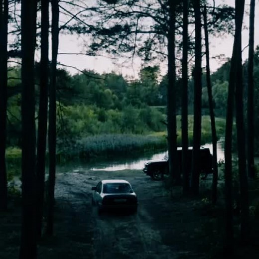 Максим смог отмолить Дениса, но вернулся с той стороны он уже не человеком. #топи #макнисы #дениститов #максимкольцов #тихони