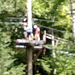 Alpine Adventures NH on Reels | Facebook