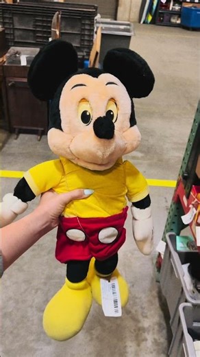 Disney Finds in the ShopGoodwill.com Warehouse!