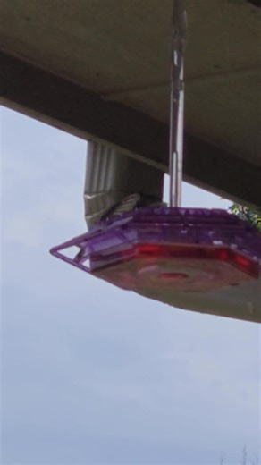 David Jeffries on Reels