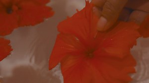 1.6K views · 117 reactions | Sometimes, all you need is to let go and feel the moment. Come with us to a place where every touch, every detail brings you closer to finding your center. ✨ Take a deep breath. You deserve this. | Hotel Nikko Guam | Facebook