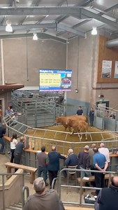 9.6K views · 45 reactions | United Auctions - Stirling (Wednesday...