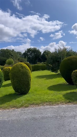 38K views · 1.3K reactions | #alwar #alwarcity #rajasthan #mewat #mewati #haryana #desi #nuh | Irrfan Ali | Facebook