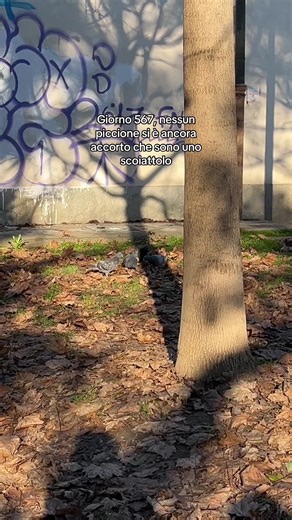 Video di Psh (@psh_.02) con original sound - Delilah Bon