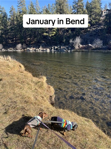 Somehow we have a full week of 50s and sun ☀️ #bend #oregon