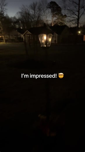 This solar lamp post with planter just upgraded my entire front porch 🌿✨ No wiring, no electricity, just automatic dusk-to-dawn lighting. If you’re looking for outdoor solar lights, patio decor, or front yard lighting ideas, this one does it all. #solarlights #solarlightsoutdoor #solarlighting