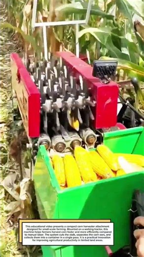 Mini Corn Harvester Attachment #farming #harvest #machine