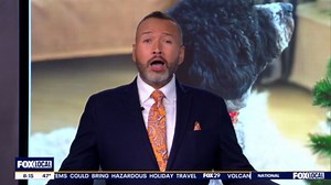 Chelsea's Charm Collars: Bling out your dog's custom collar with festive charms